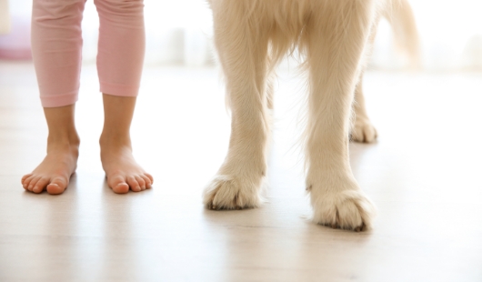 子供とペットの足元
